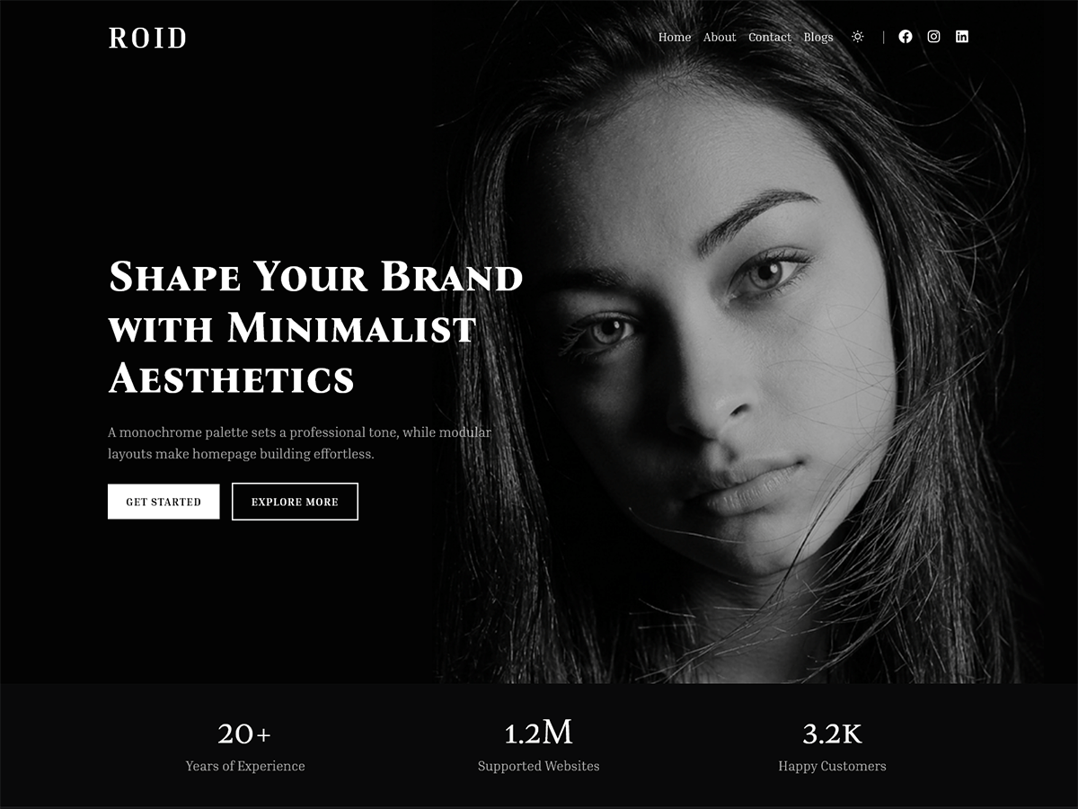 Roid | Free WordPress Theme